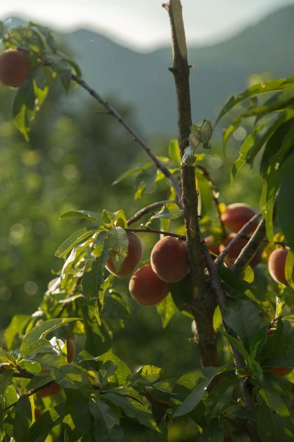 Appartamento Brioni Virpazar Esterno foto